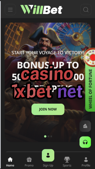 Casino 1xbet Net - 1xBet Casino Network-casinoorder.vip
